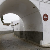 Alanís